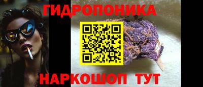 spice Можга