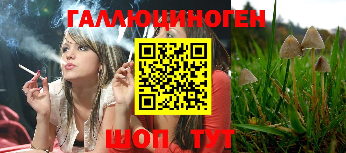 Псилоцибиновые грибы Psilocybe  Вход с VPN  Томск 