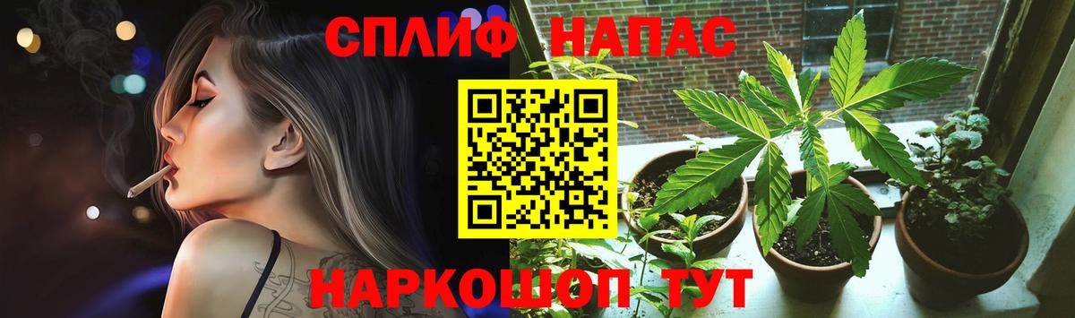 Бошки марихуана план Томск